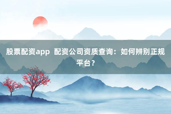 股票配资app  配资公司资质查询：如何辨别正规平台？