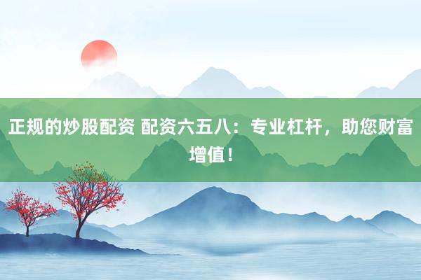 正规的炒股配资 配资六五八：专业杠杆，助您财富增值！