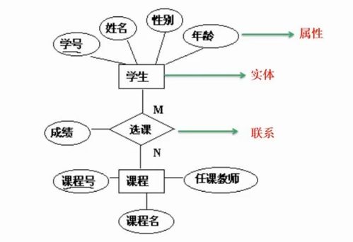 软件设计师 三 数据库系统